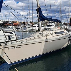 c0b5a8a377f04b87e778ee0805ae6fb497ada42c